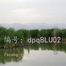 Ŀ